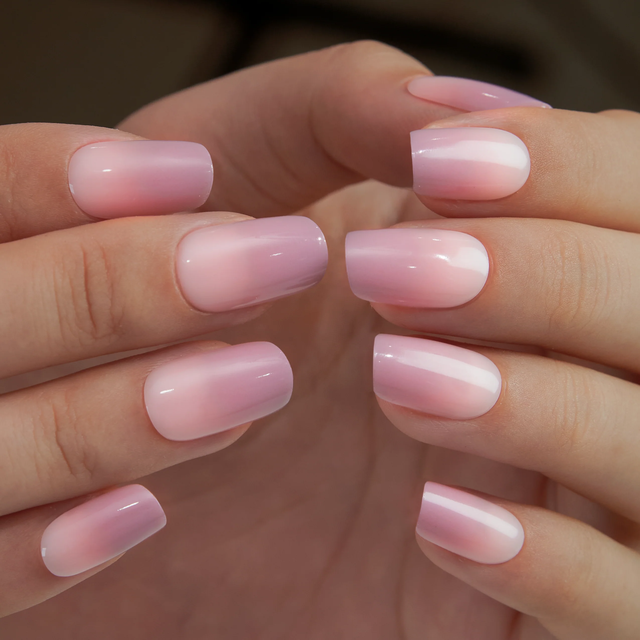 Elegant Fade - Image 5