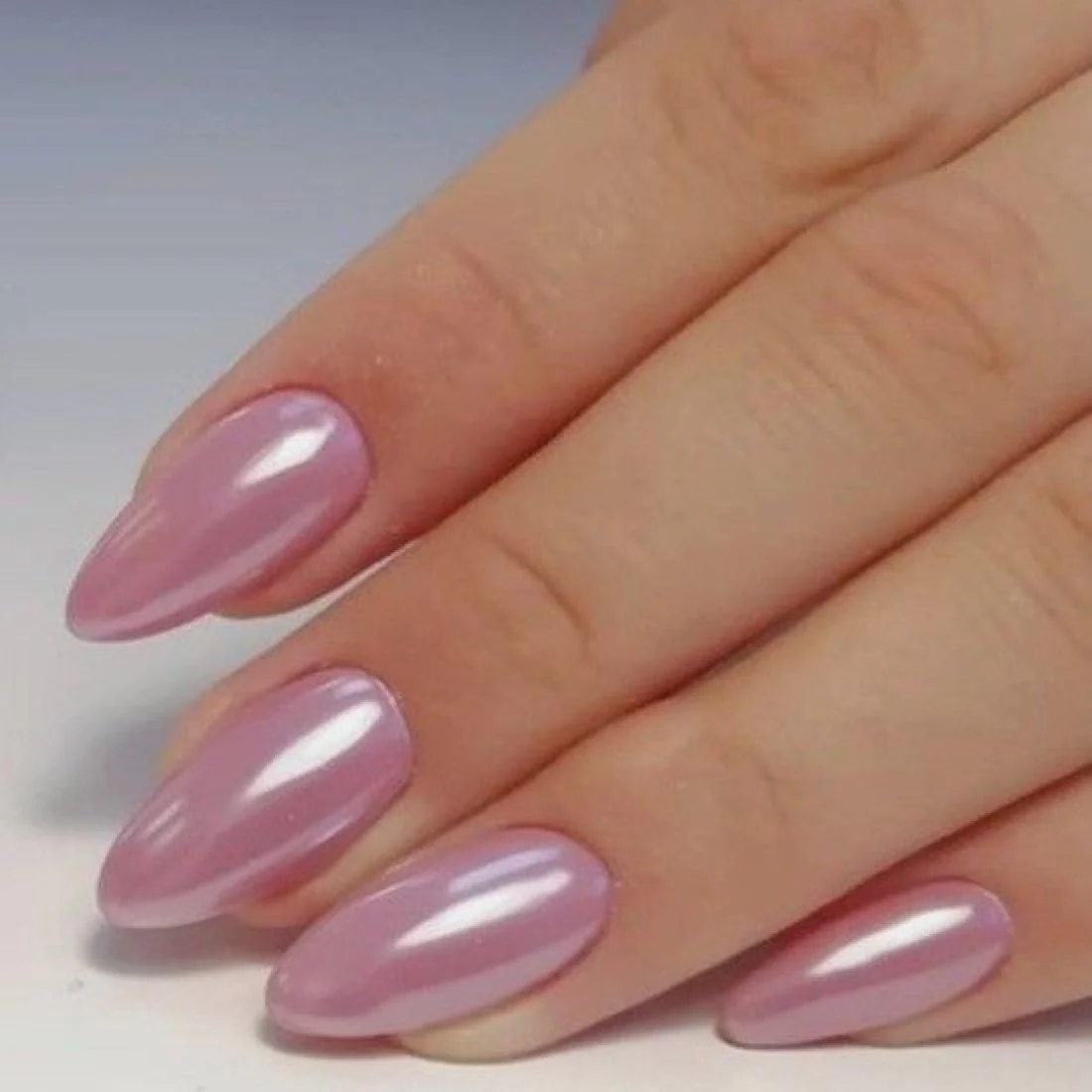 Pearl Orchid - Image 2