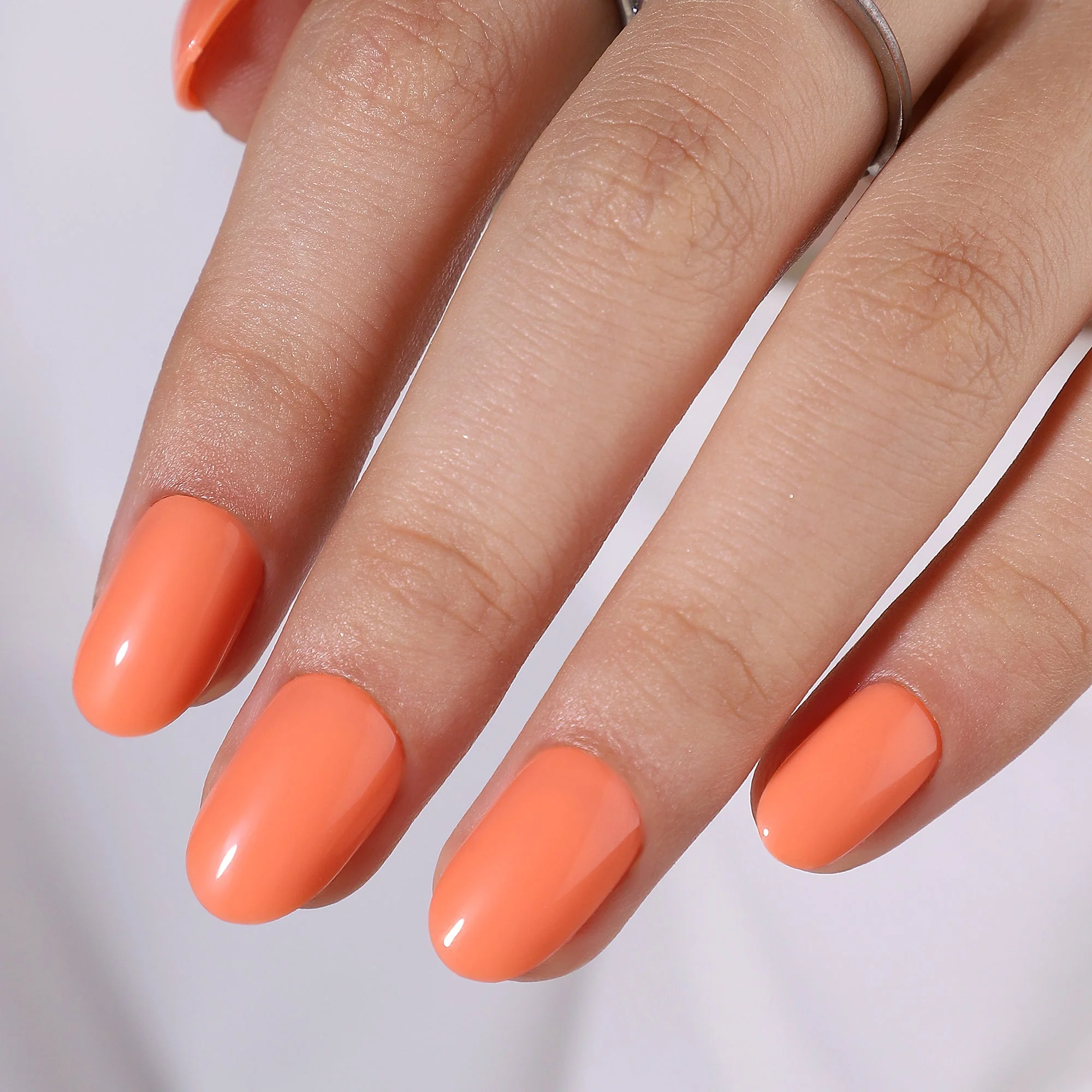 Citrus Pop - Image 3