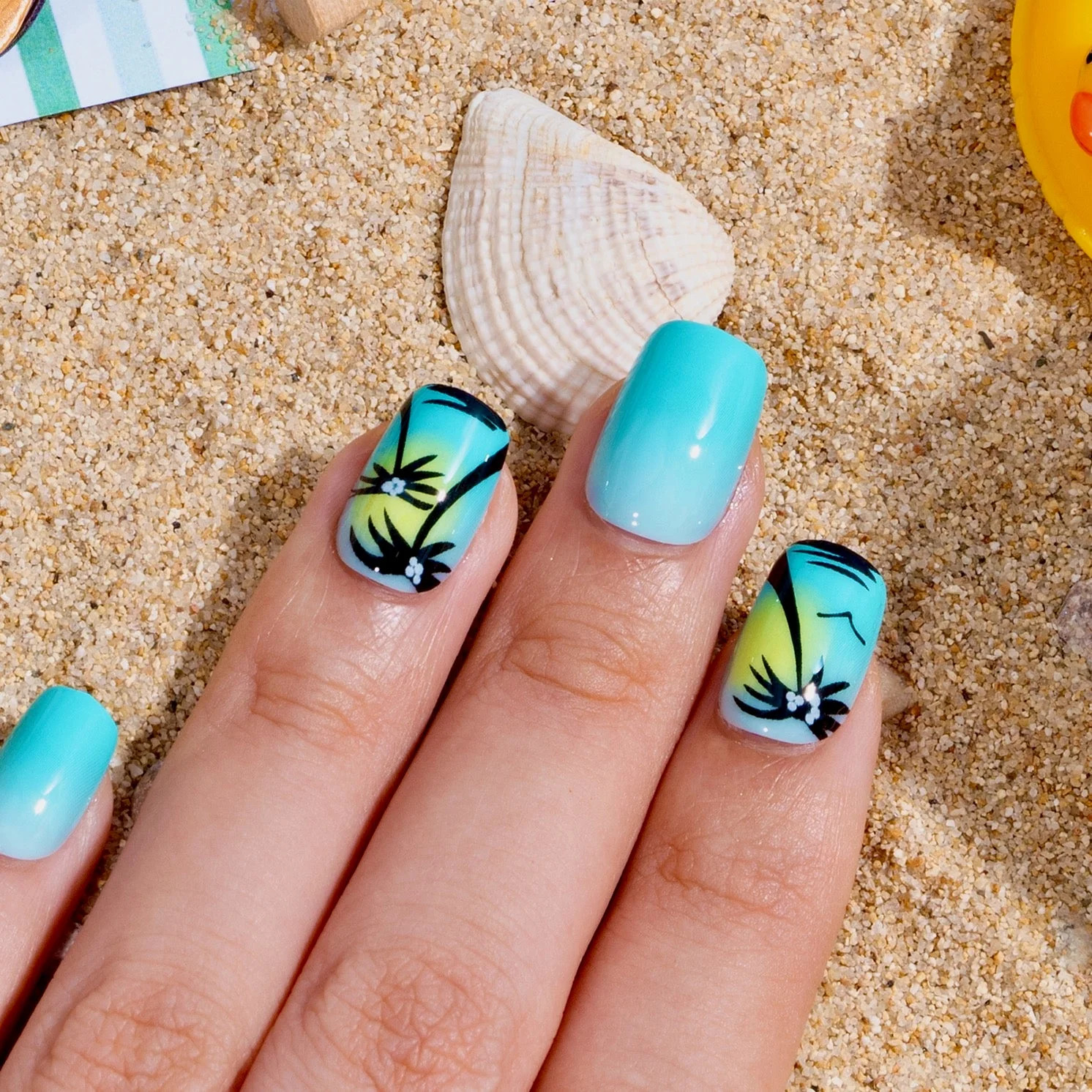 Ocean Palm - Image 9