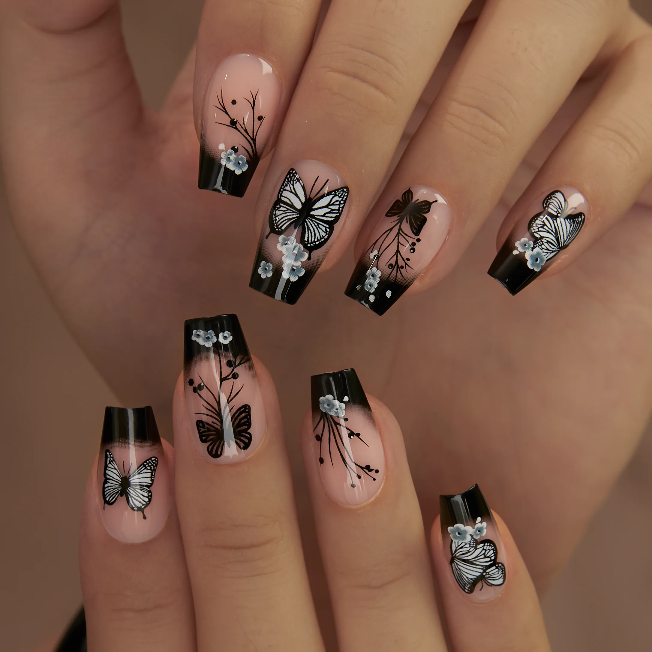 Noir Papillon - Image 5